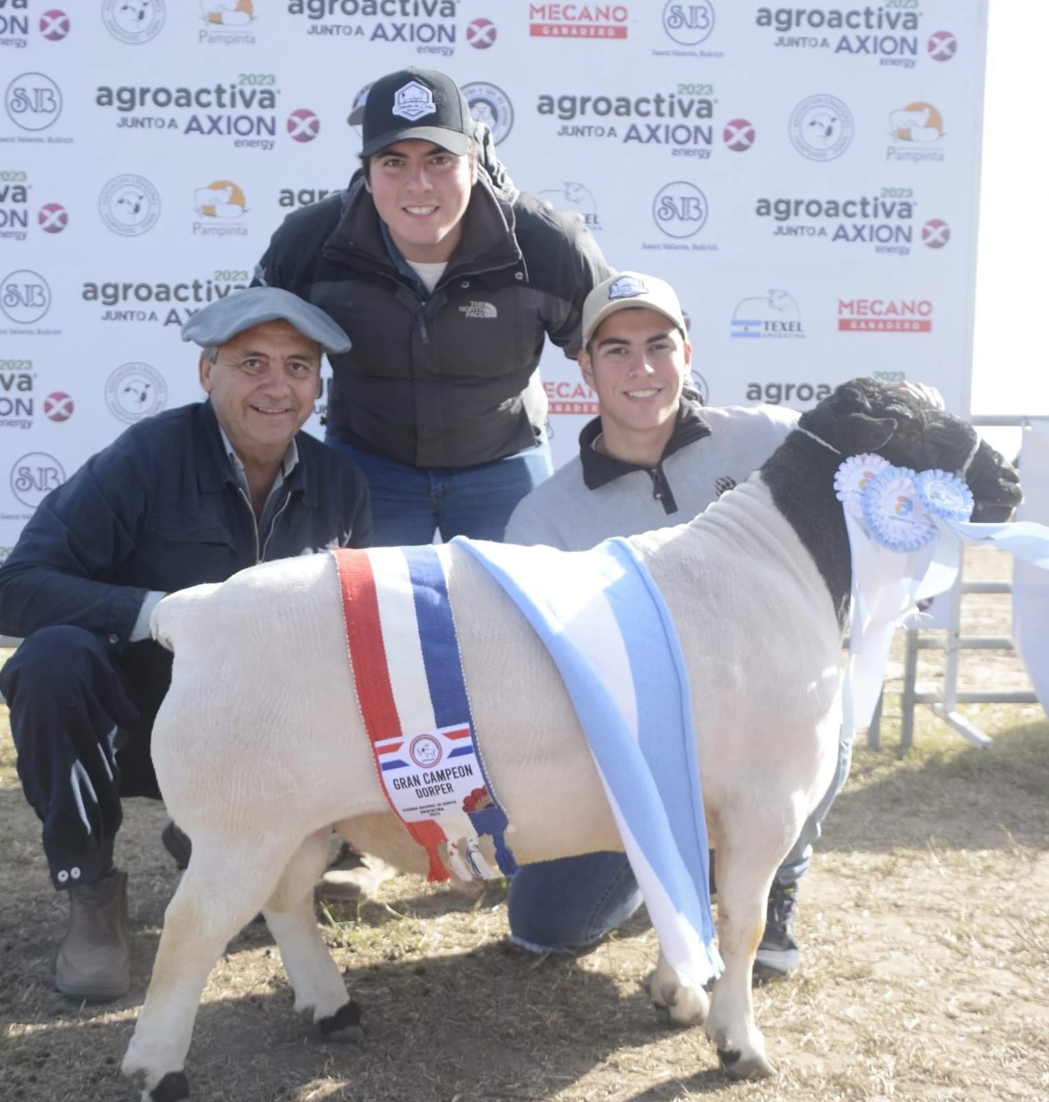 Agroactiva Ganadera tendrÃ¡ la mayor exposiciÃ³n de reproductores ovinos 